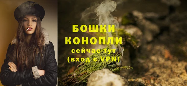 мет Осинники