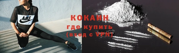 мет Осинники