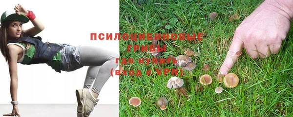 бошки Абинск
