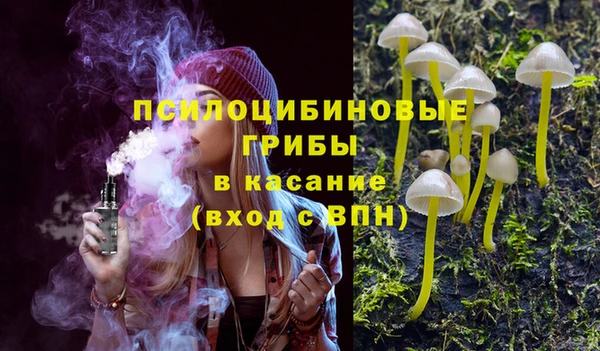 индика Остров