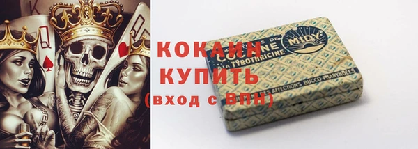 гашик Осташков
